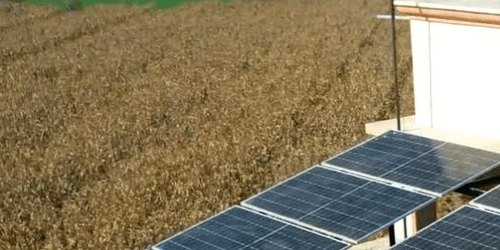 Solar panels on Ch. Anwar Duggal's roof overlooking a wheat field